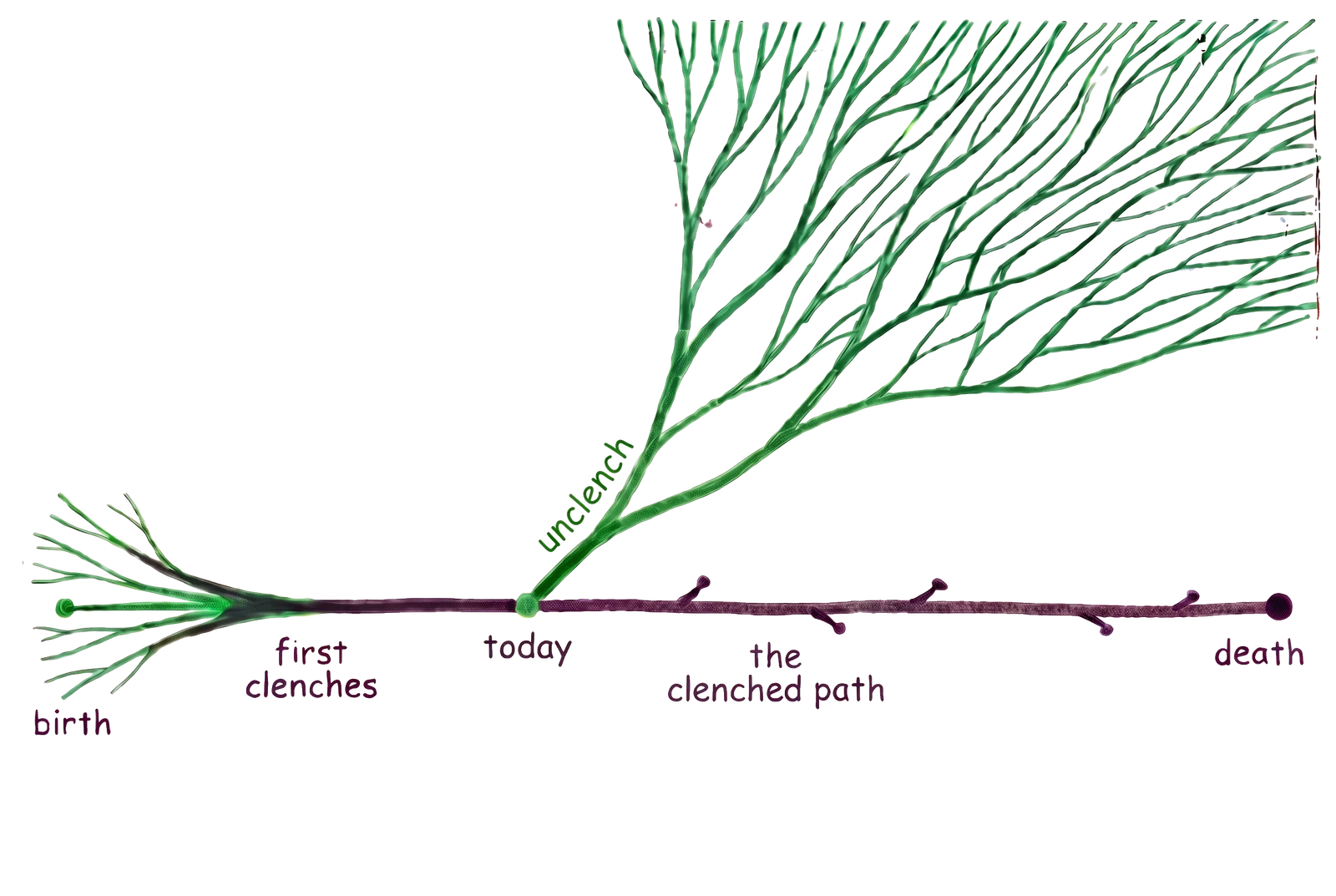 A hand-drawn timeline where the clenched path stays narrow while unclenching branches into many possible paths