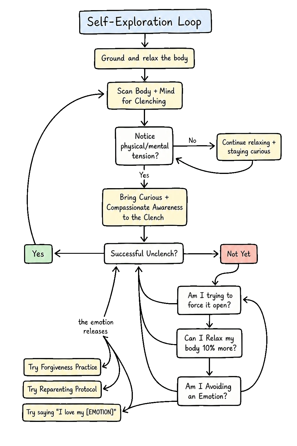 The Self-Exploration Loop: ground the body, scan for clenching, bring curious awareness, and try gentler experiments when the clench is not ready to open