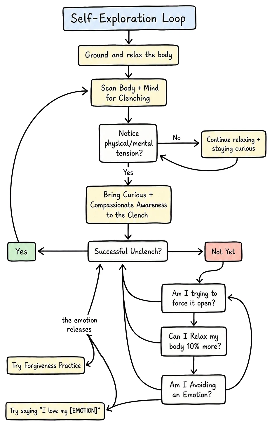 The Self-Exploration Loop: ground the body, scan for clenching, bring curious awareness, and try gentler experiments when the clench is not ready to open