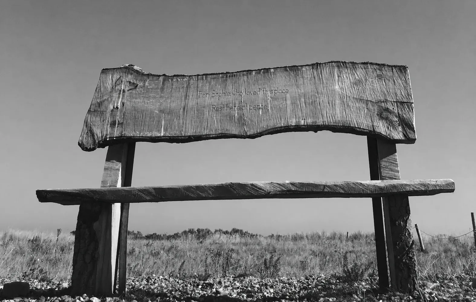 Sophie's memorial bench on the pebble beach